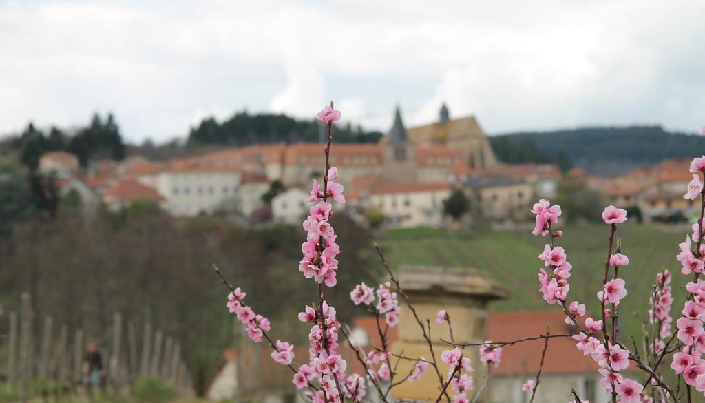 Gites Le Lancelot Ambierle Zewnętrze zdjęcie